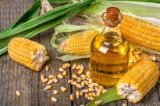 Refined Corn Oil for sale
